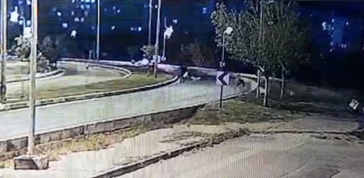 Antalya'da köpek sürüsü, yoldan geçenlere saldırarak yaraladı