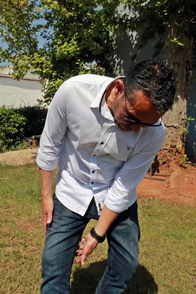 Antalya'da köpek sürüsü, yoldan geçenlere saldırarak yaraladı