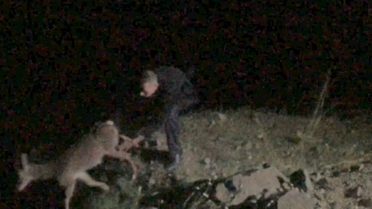 Artvin’de karaca ile birlikte 10 metre yükseklikten düştü