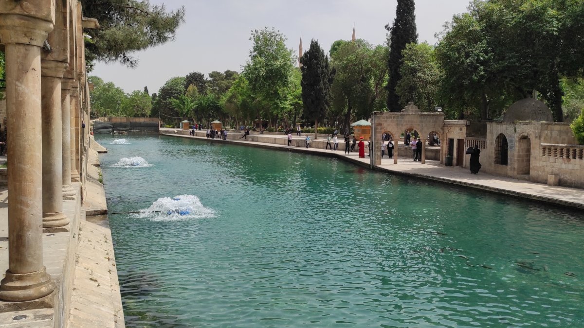 Balıklıgöl'deki ölümlerin incelemesi bitene kadar yem yasağı geldi