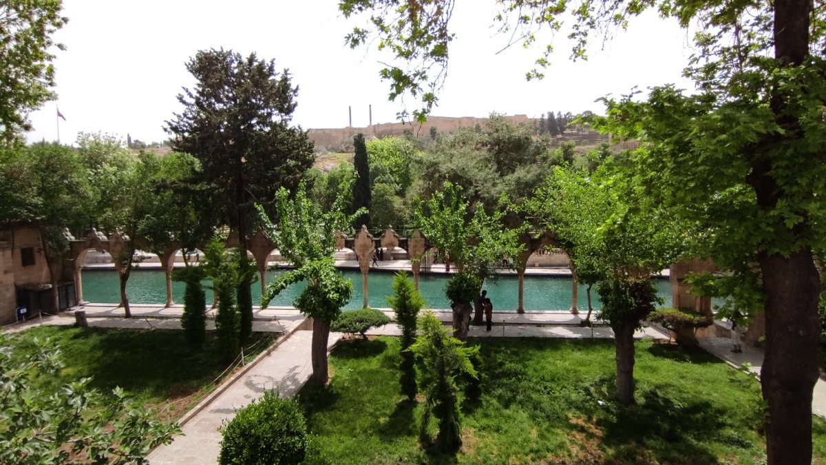 Balıklıgöl'deki ölümlerin incelemesi bitene kadar yem yasağı geldi