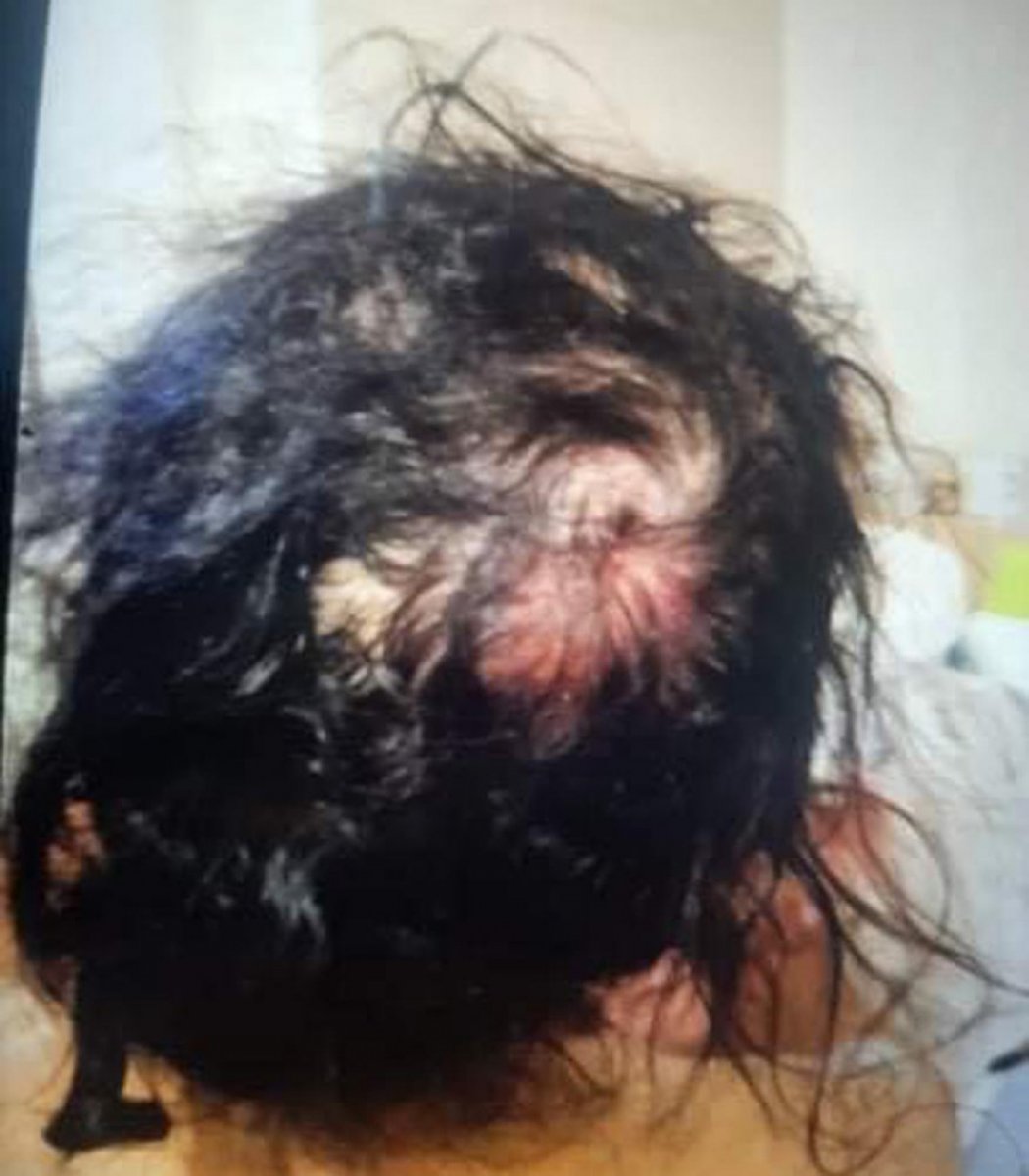 Yengesini bayıltana kadar dövüp, altınlarını çaldı