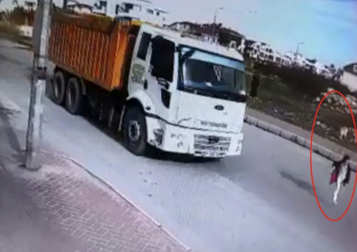 Mahra'nın babası: Sokakta başıboş köpek kalmayana kadar mücadele edeceğim