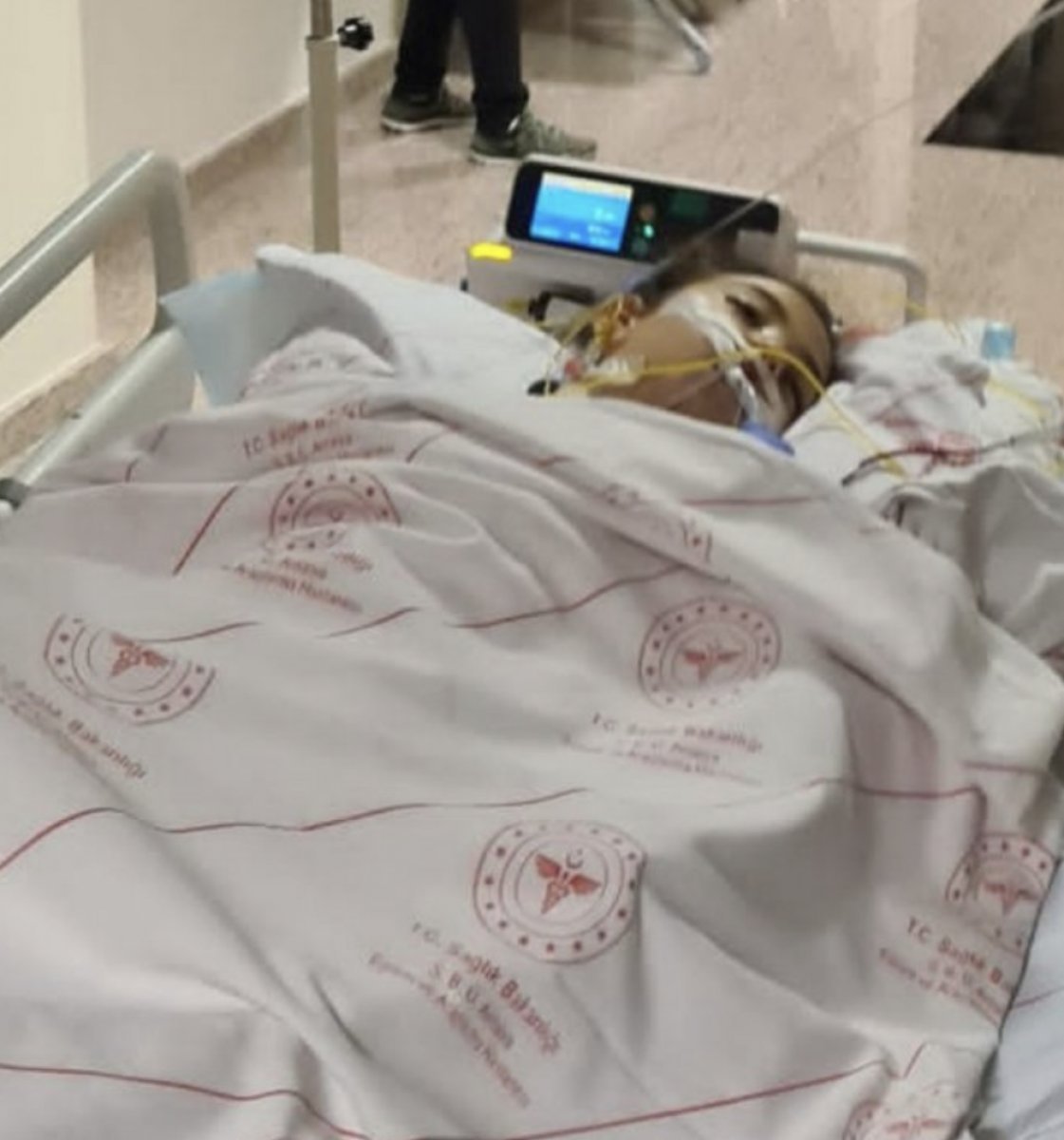 Mahra'nın babası: Sokakta başıboş köpek kalmayana kadar mücadele edeceğim