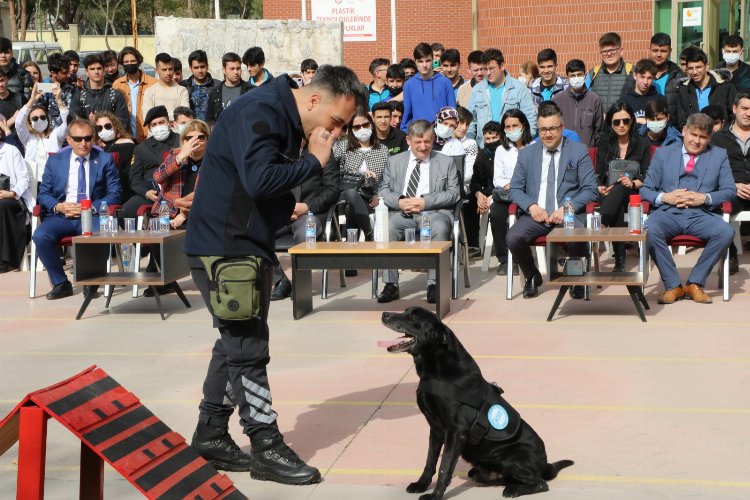 Manisa Büyükşehir'den 'Can Dostum' projesi