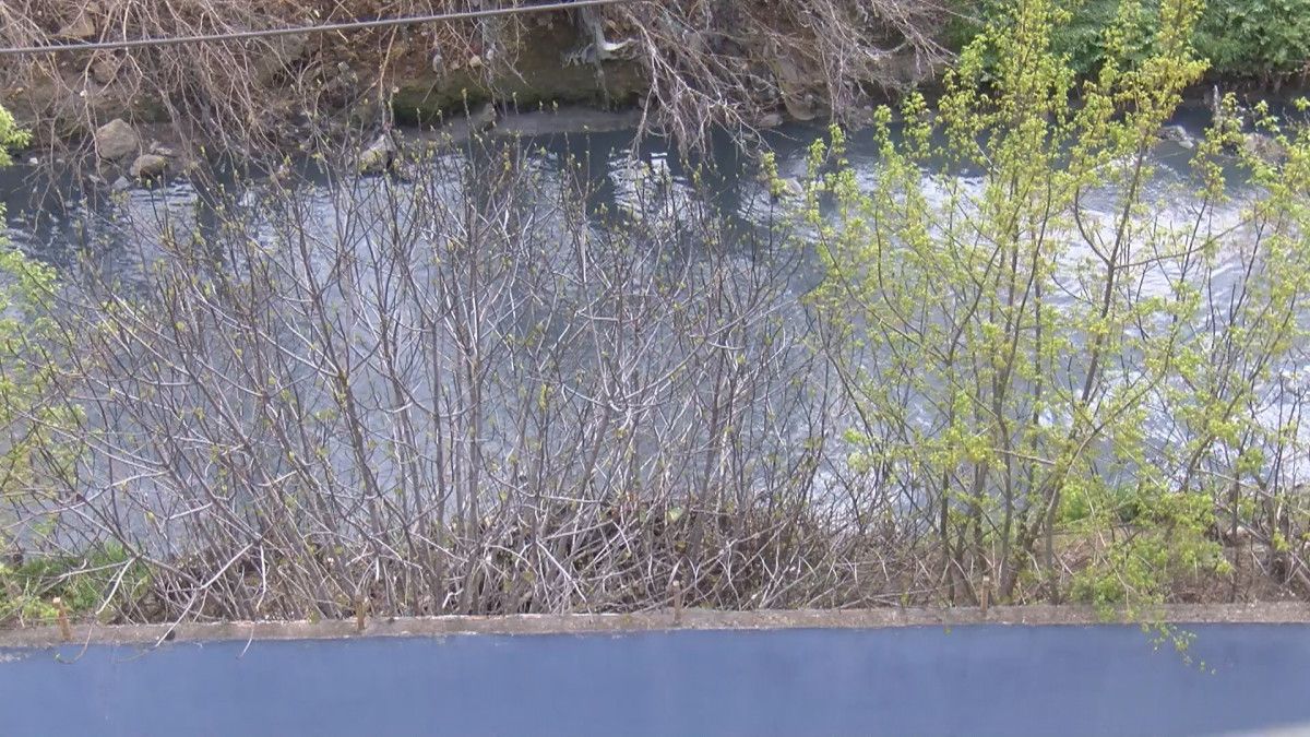 Mavi, siyah akan Ayamama Deresi, Marmara'ya dökülüyor