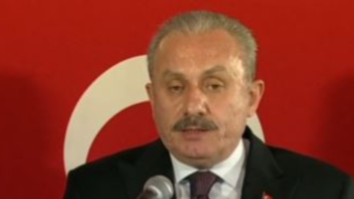 Mustafa Şentop, Birinci Meclis'te konuştu