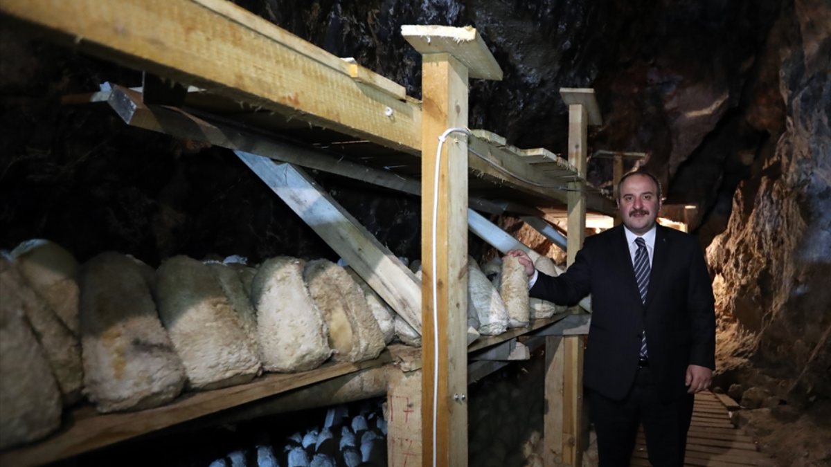 Mustafa Varank, mağarada üretilen Divle Obruk Peyniri&#039;ni inceledi
