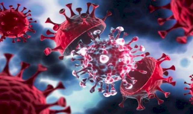 Yeni varyant alarma geçirdi