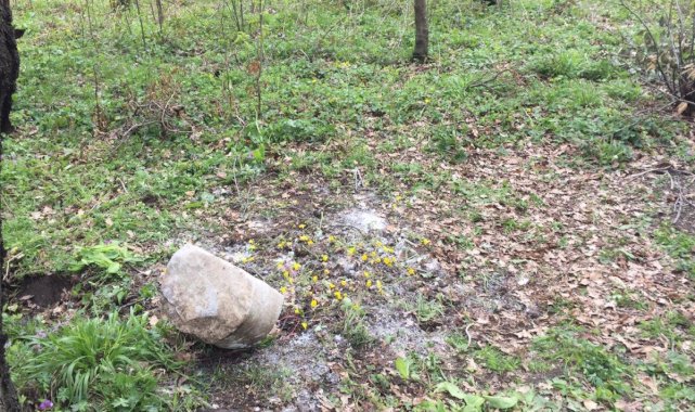 Zonguldak’ta bebek cesedi gömüldü sanıldı, mezardan kedi ölüsü çıktı