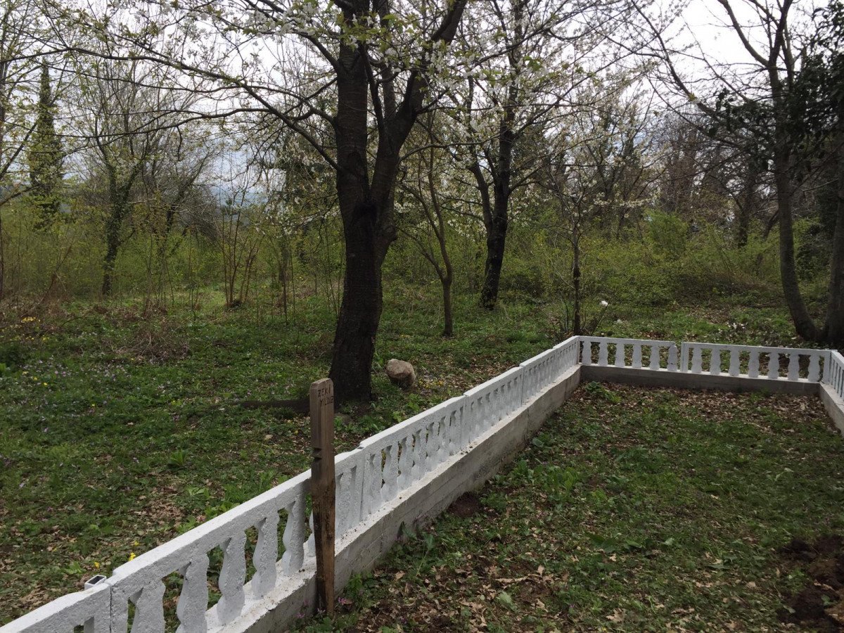 Zonguldak’ta bebek cesedi gömüldü sanıldı, mezardan kedi ölüsü çıktı