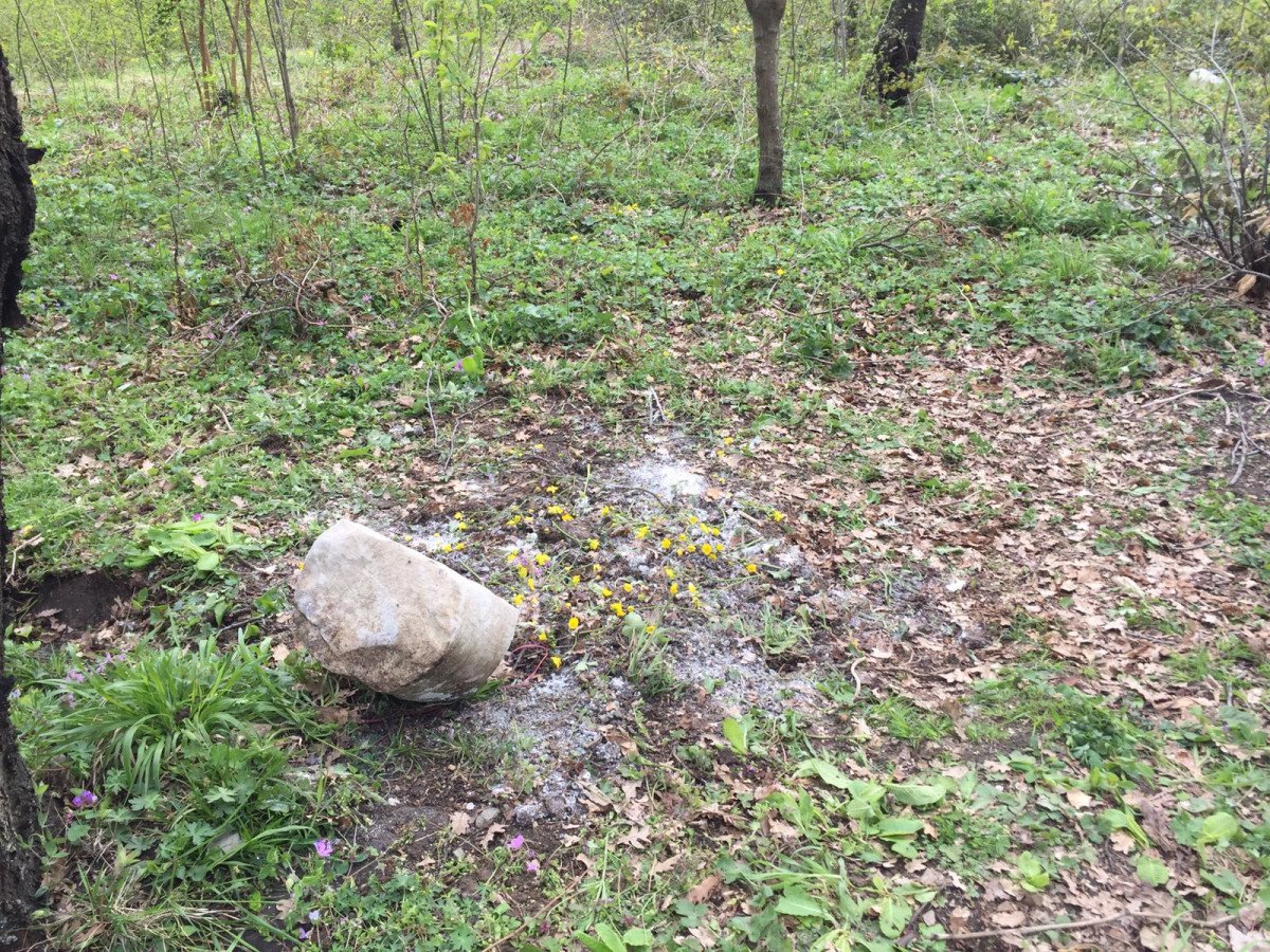 Zonguldak’ta bebek cesedi gömüldü sanıldı, mezardan kedi ölüsü çıktı
