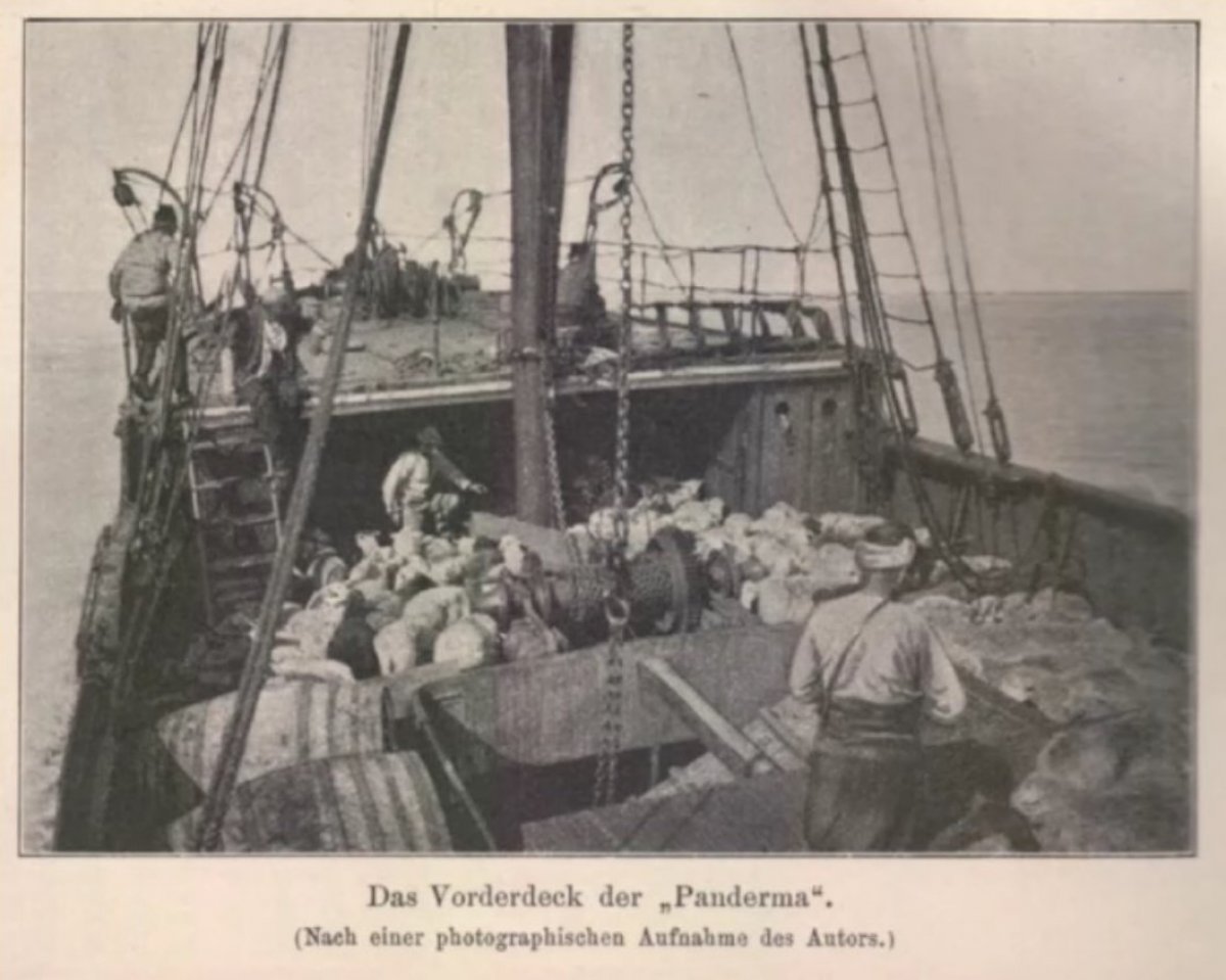 Atatürk'ün Samsun'a çıktığı gemi