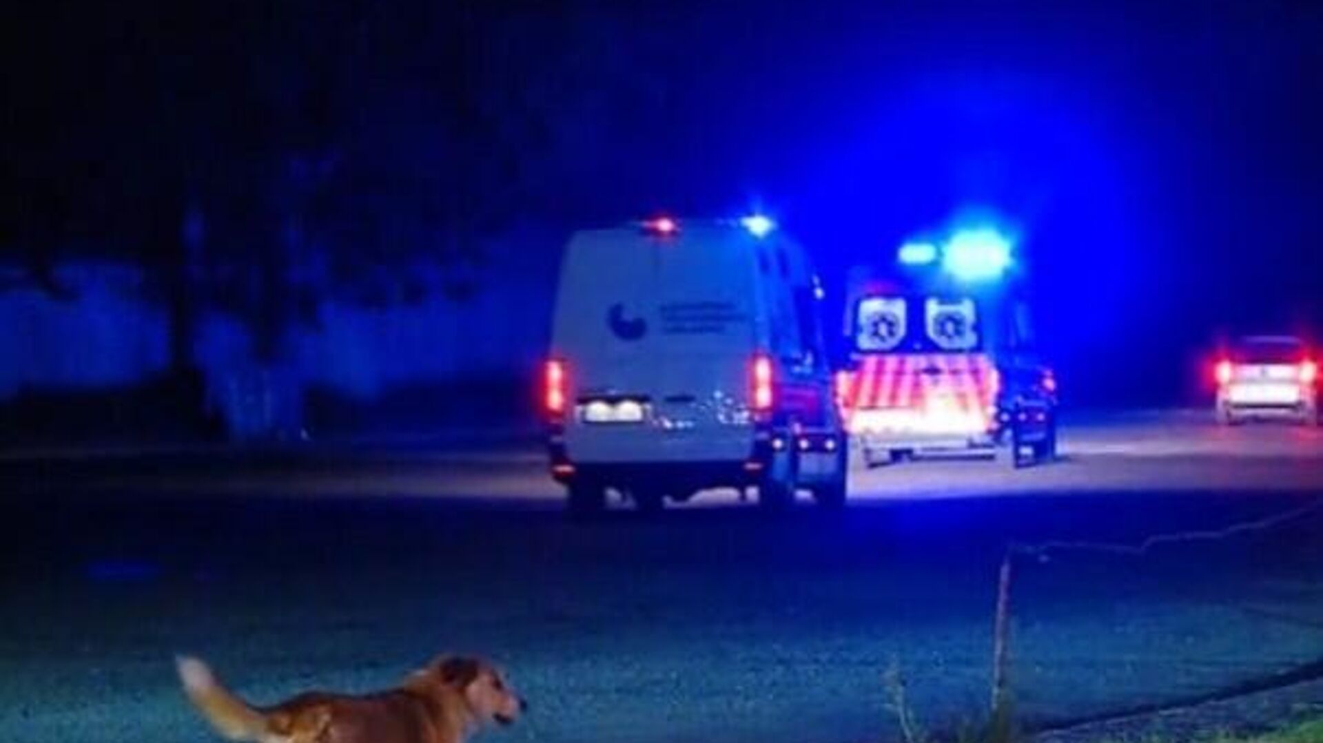 Gürcistan’ın eski Cumhurbaşkanı Saakaşvili cezaevinden hastaneye sevk edildi