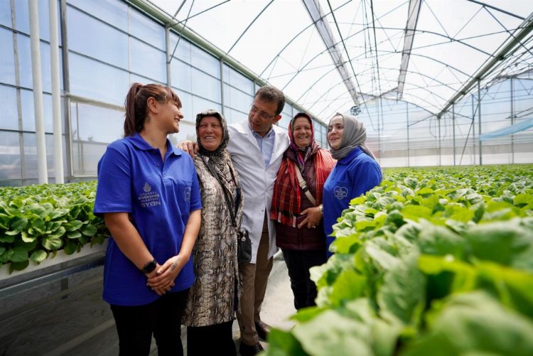 İBB'den üreticiye destek