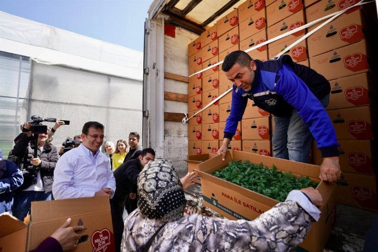 İBB'den üreticiye destek