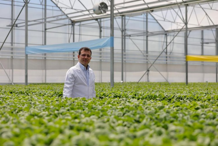 İBB'den üreticiye destek