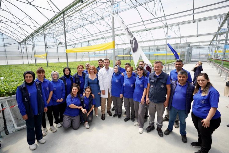 İBB'den üreticiye destek