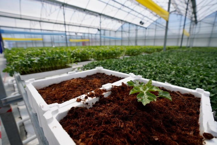 İBB'den üreticiye destek