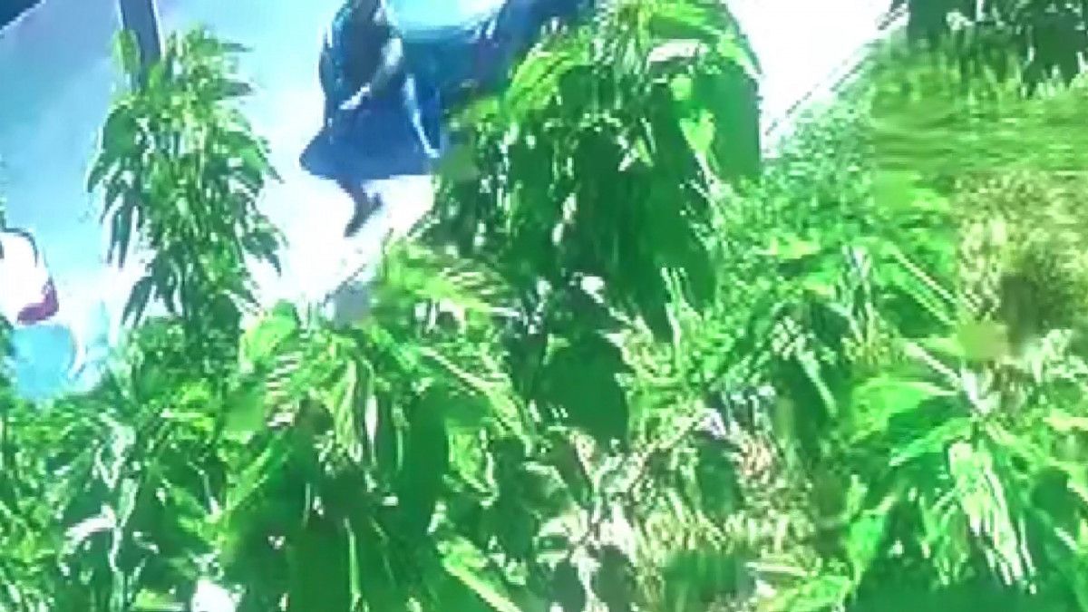 İran'daki mehir meselesi, İstanbul'da kanlı bitti