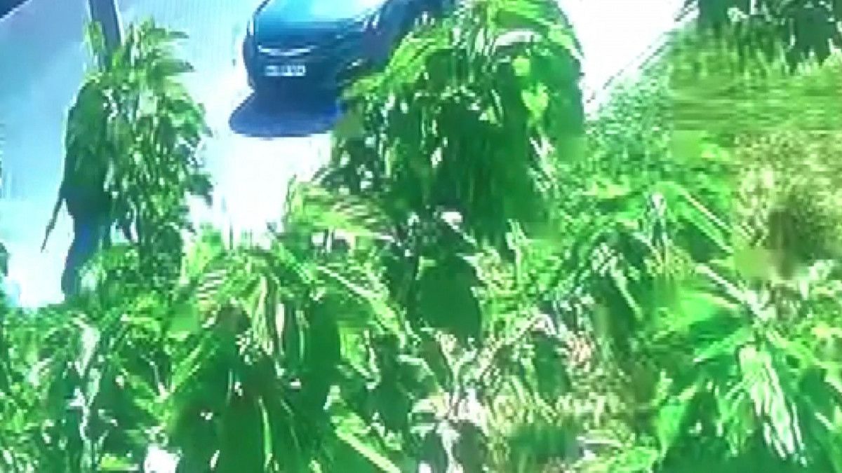 İran'daki mehir meselesi, İstanbul'da kanlı bitti