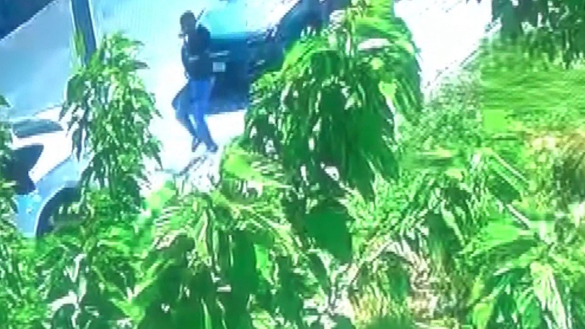 İran'daki mehir meselesi, İstanbul'da kanlı bitti