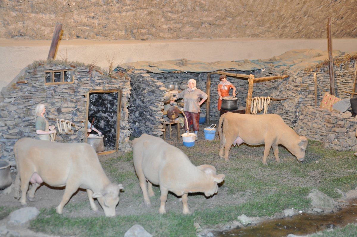 Kars'taki 'Peynir Müzesi'ne ziyaretçi akını