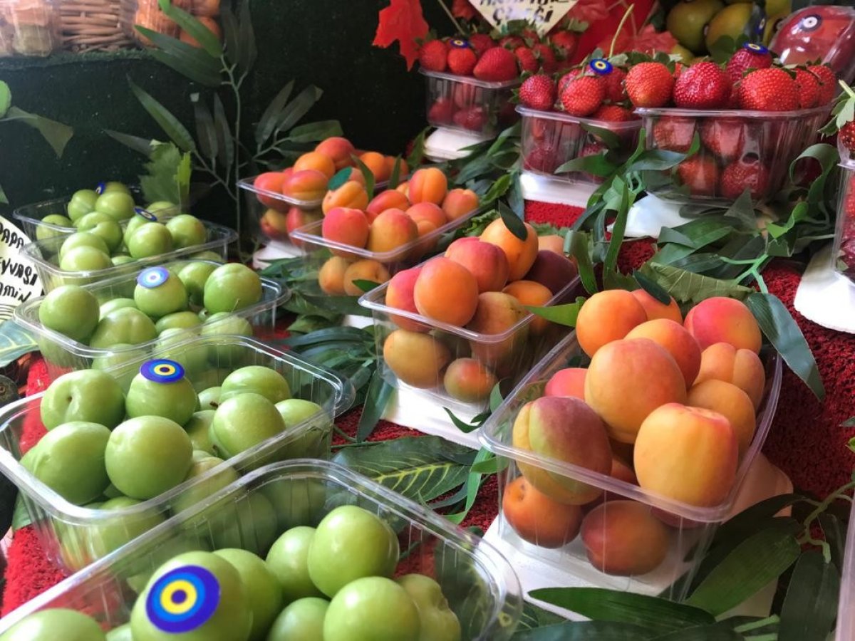 Kayısı tezgahta yerini aldı: Kilosu 50 TL