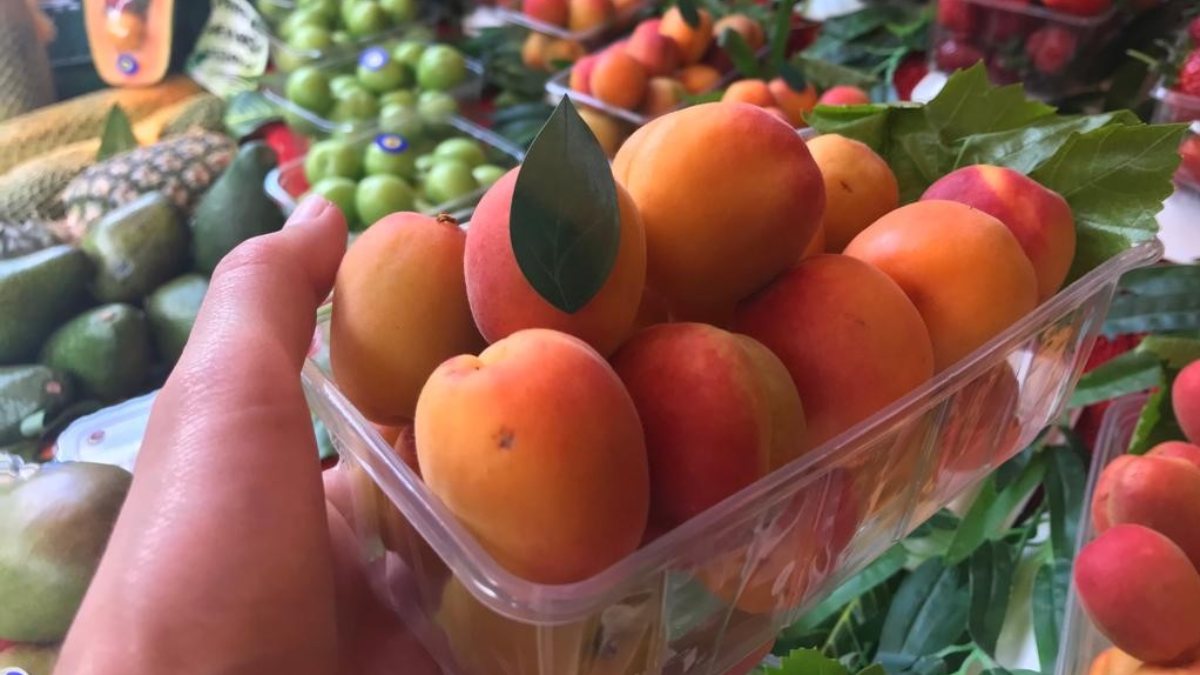 Kayısı tezgahta yerini aldı: Kilosu 50 TL