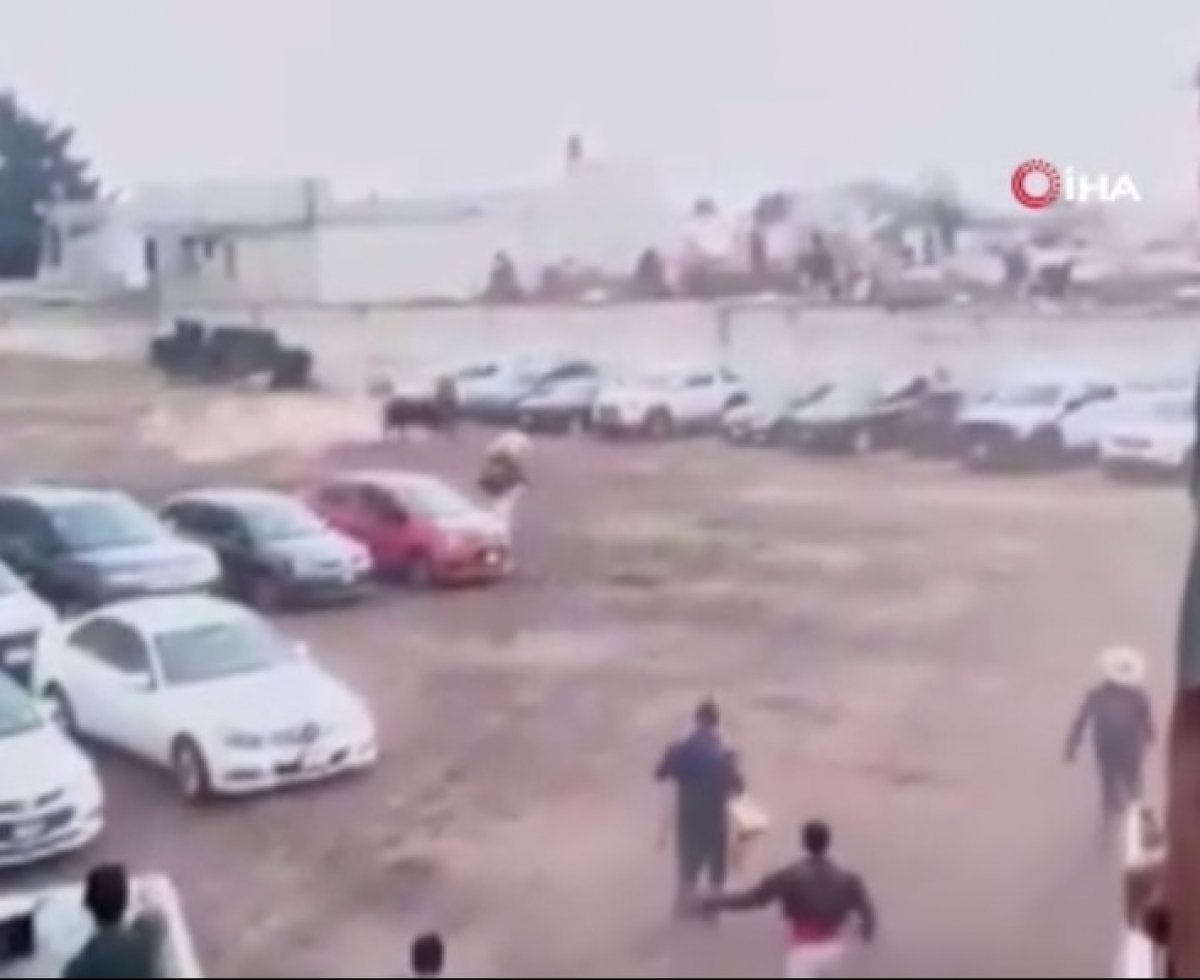 Meksika'da kaçan boğa çevredekilere saldırdı