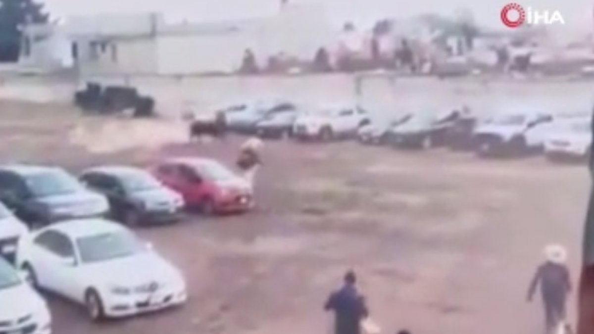 Meksika'da kaçan boğa çevredekilere saldırdı