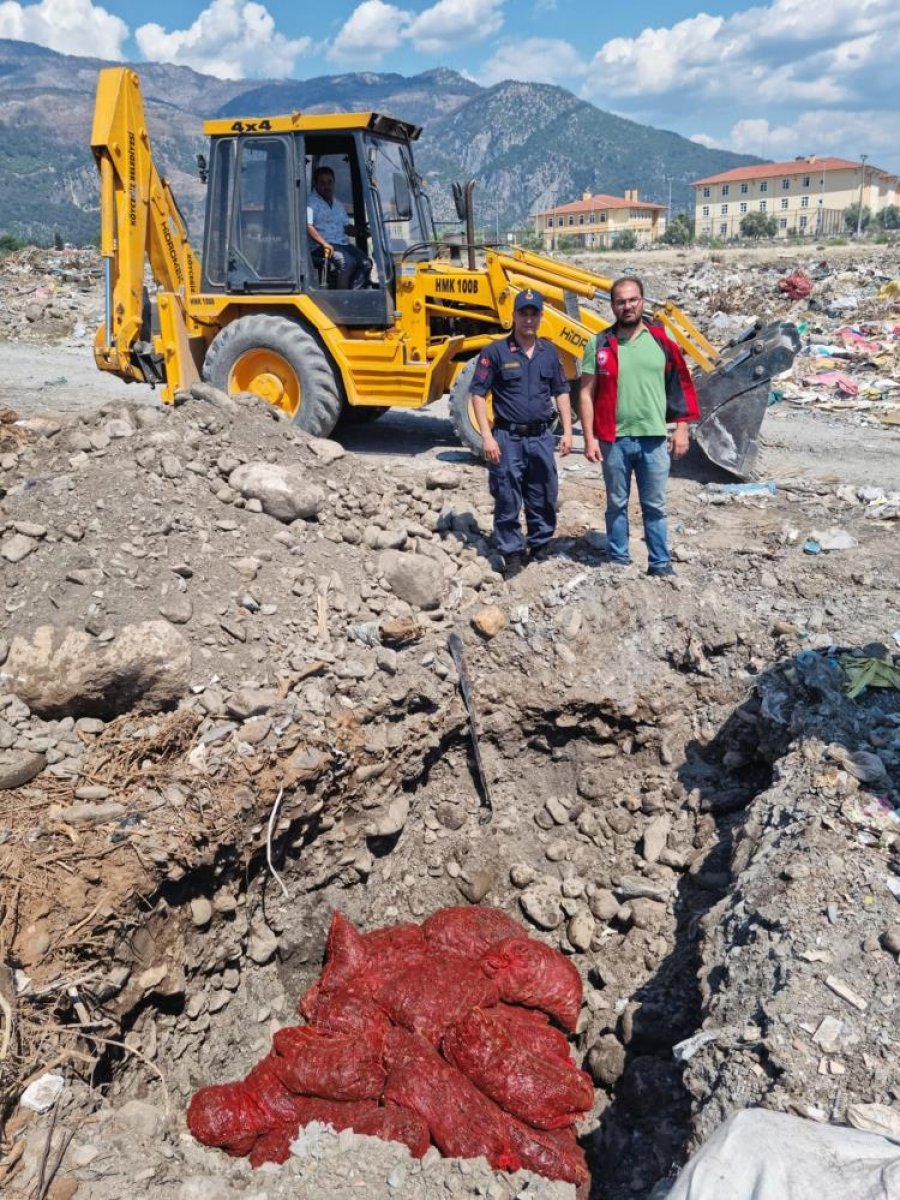 Muğla'da 1.5 ton kaçak midye imha edildi