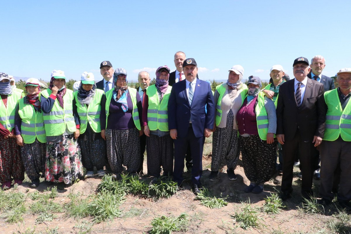 Mustafa Destici: 10 milyon mülteci varmış gibi göstererek siyasi popülizm yapıyorlar