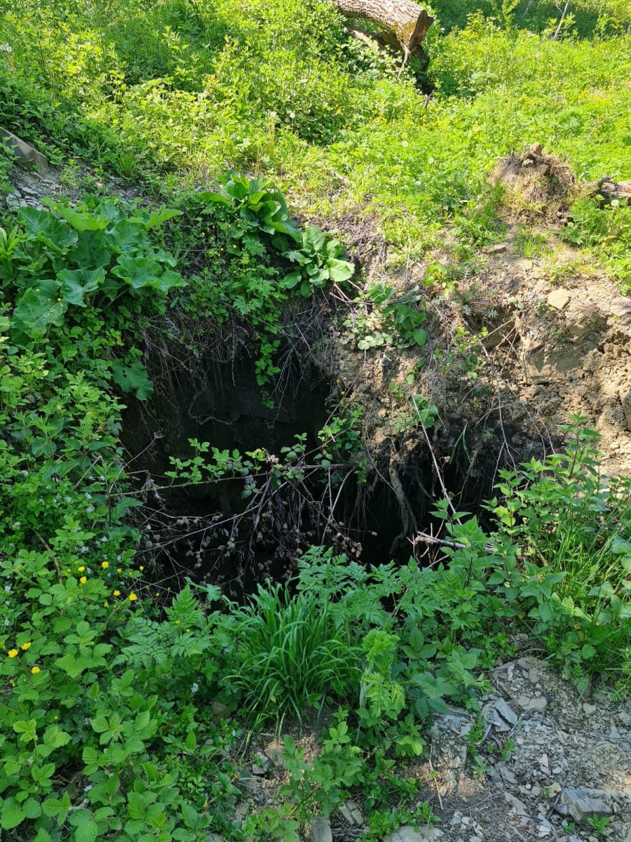 Sinop'taki köy definecilerin hedefi oldu