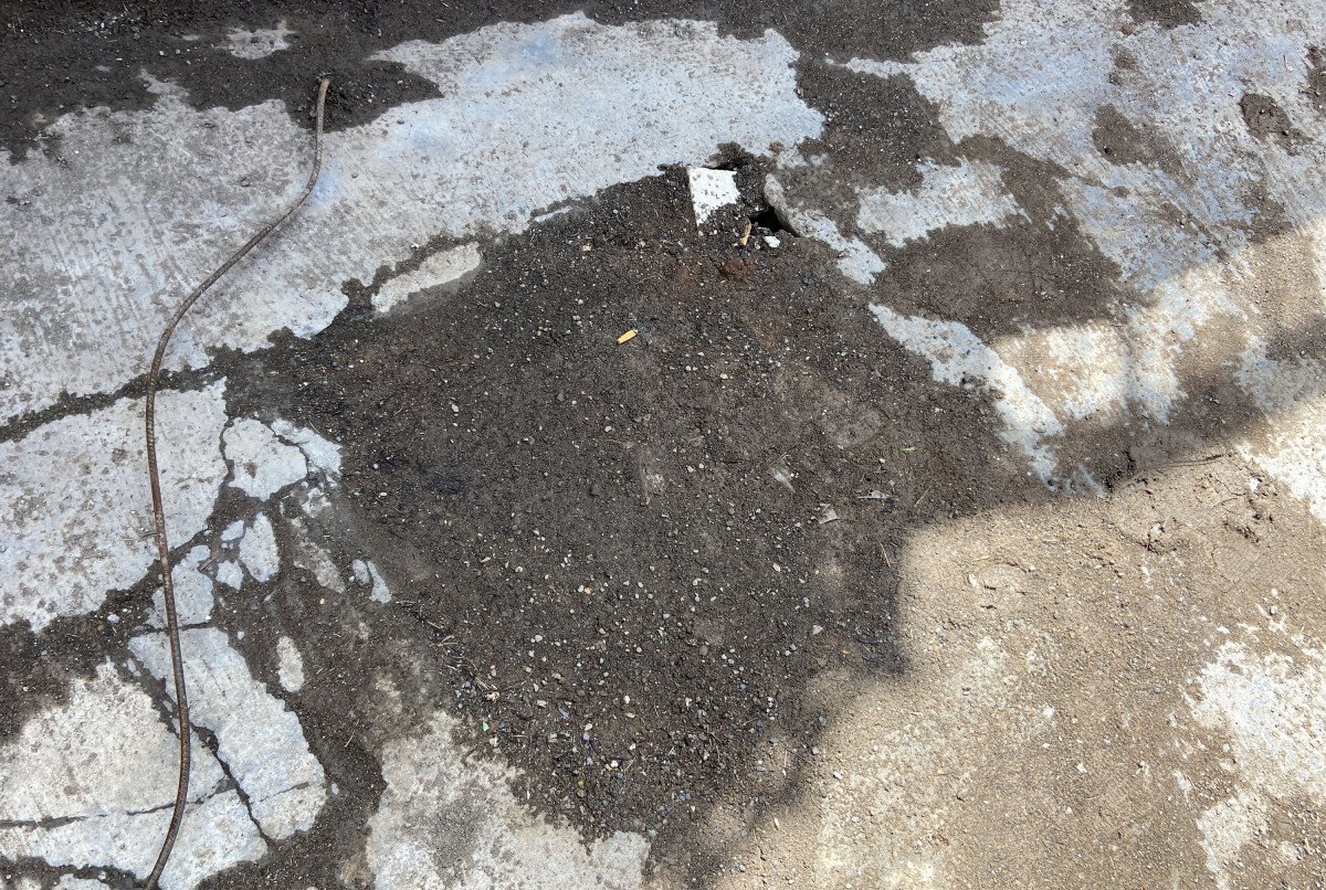 Sivas'ta iş hanı, esnafın korkulu rüyası farelerden temizlendi