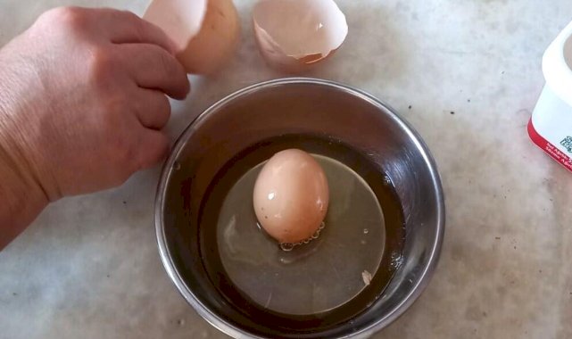 Yumurta içinden yumurta çıktı: 'Kümesten aldığımda bir gariplik olduğunu anladım'