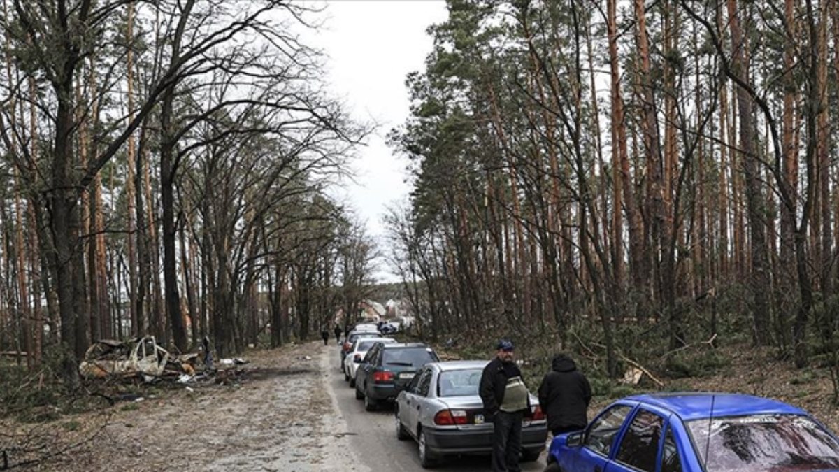 Ukrayna'da mayın temizliği 10 yıl sürebilir