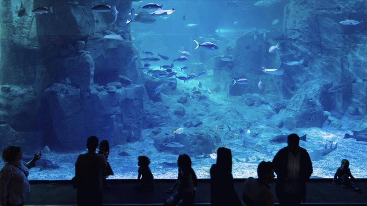 AVM'lere hayvanat bahçesi ve doğal yaşam parkı yasağı