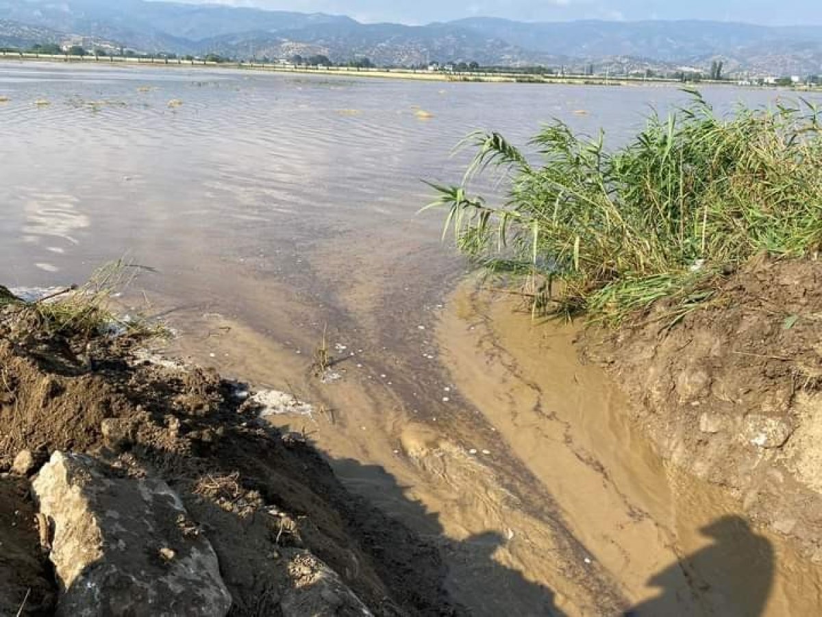 Aydın'da geçen yıl kuraklık bu sene de yağışlar üreticileri üzdü