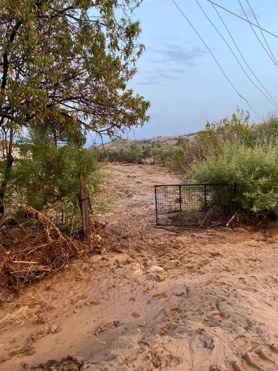 Aydın'da geçen yıl kuraklık bu sene de yağışlar üreticileri üzdü
