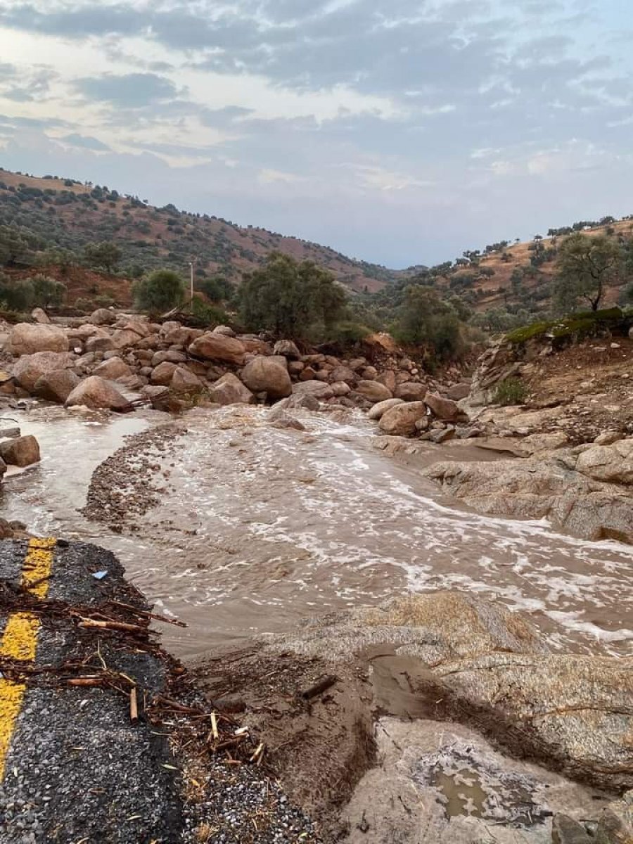 Aydın'da geçen yıl kuraklık bu sene de yağışlar üreticileri üzdü