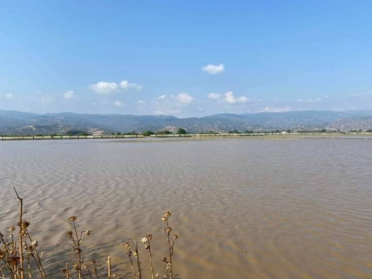 Aydın'da geçen yıl kuraklık bu sene de yağışlar üreticileri üzdü