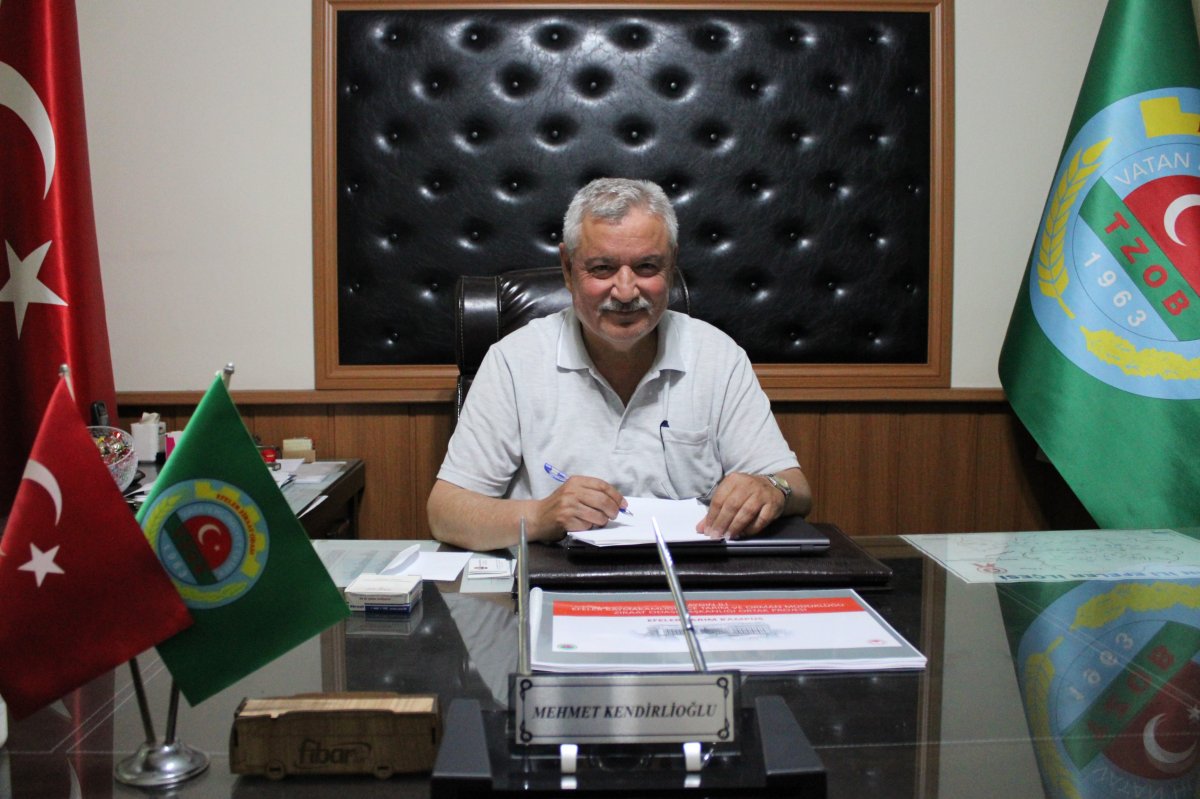 Aydın'da geçen yıl kuraklık bu sene de yağışlar üreticileri üzdü