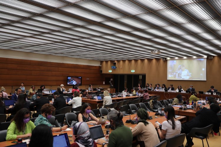 Bakan Yanık: Kadının insan hakları siyasi araç değildir