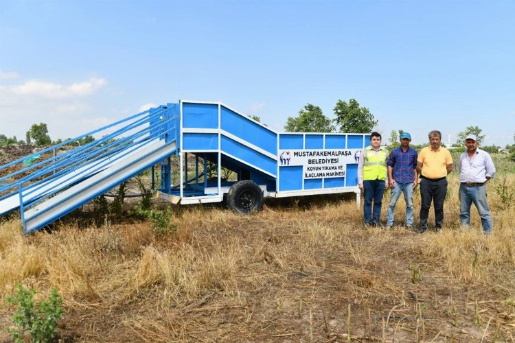 Bursa Mustafakemalpaşa'da koyunlara özel banyo
