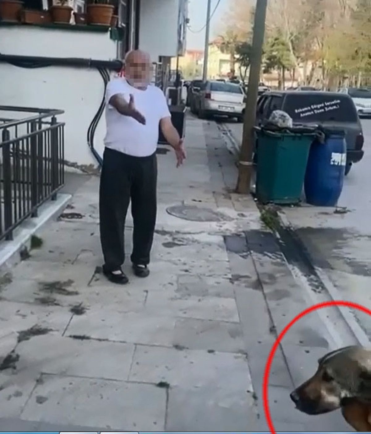 Denizli'de yaşlı adam, komşusunun köpeğini öldürdü
