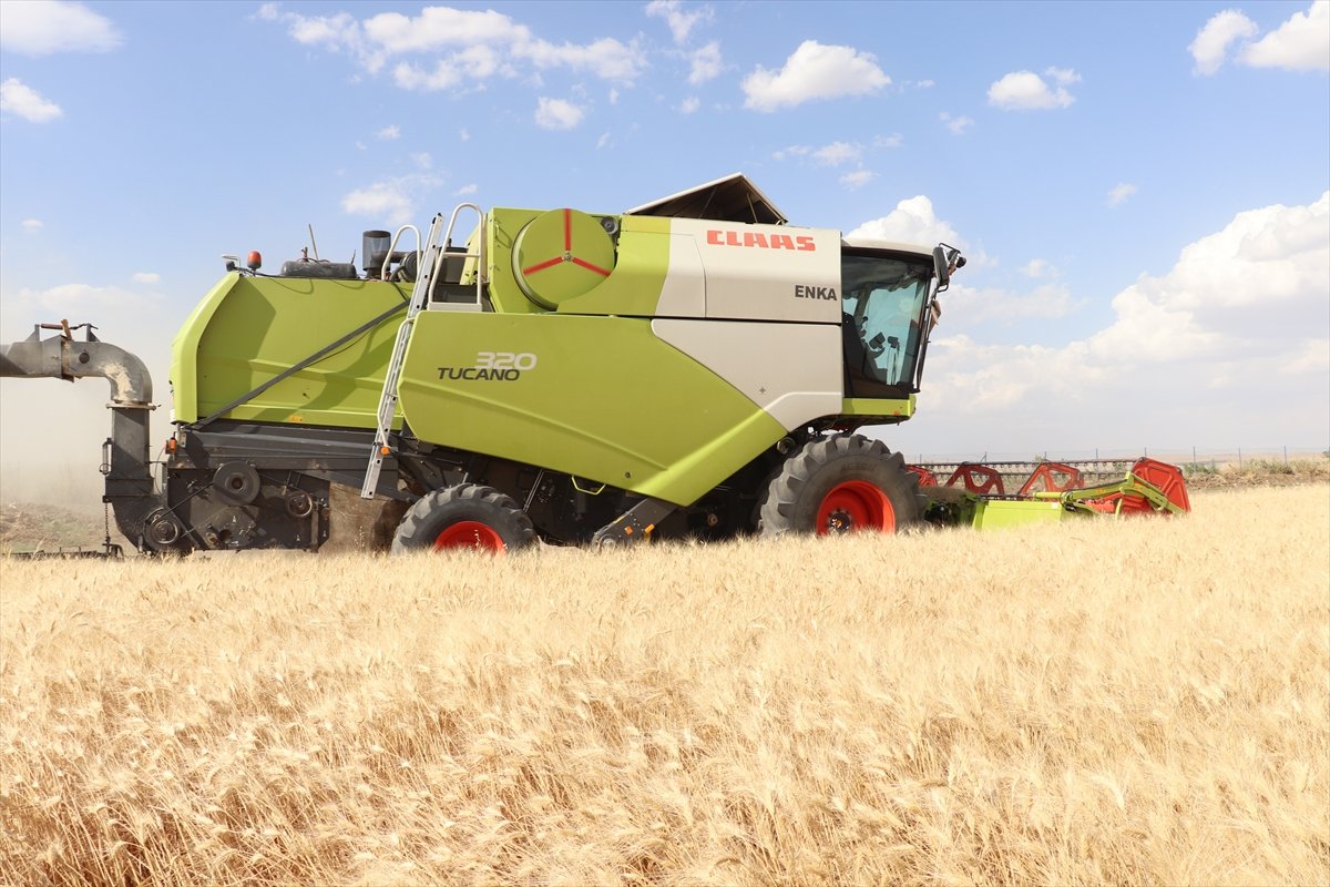 Garzan Ovası'nda buğday hasadına halaylı başlangıç