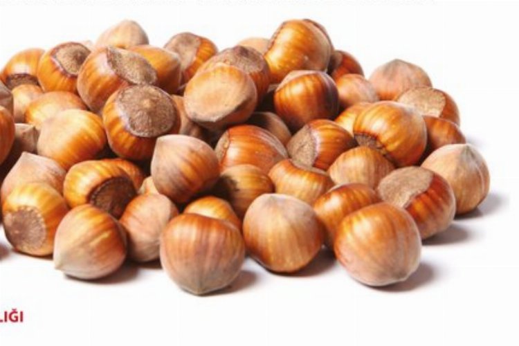 Giresun Tombul Fındığı&#039;na AB tescili