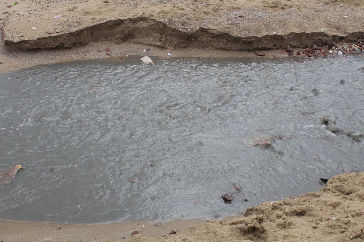 İzmit Körfezi'nde suyun rengi karardı