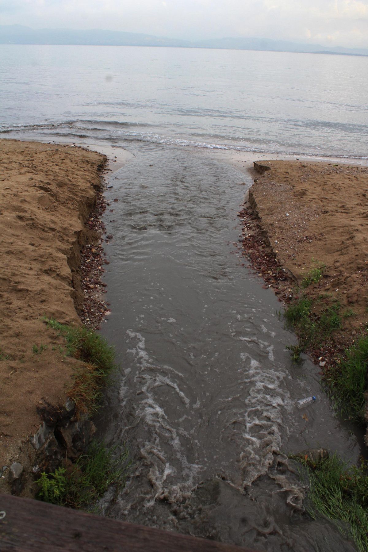 İzmit Körfezi'nde suyun rengi karardı